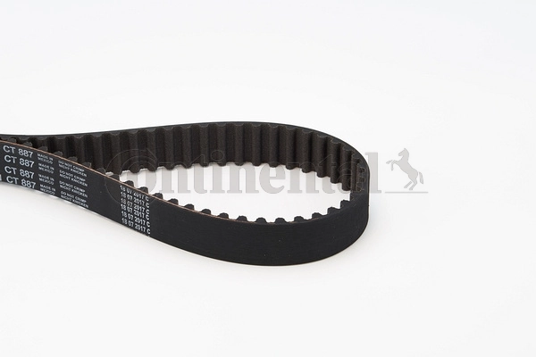 Timing Belt